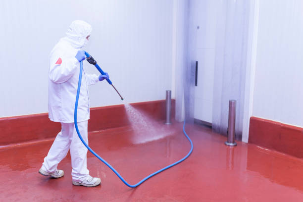 Boat and Dock Cleaning in Maeser, UT
